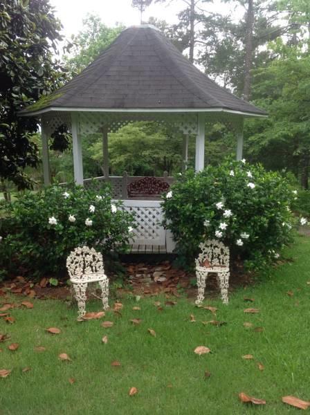 أننيستون Springwood Inn المظهر الخارجي الصورة